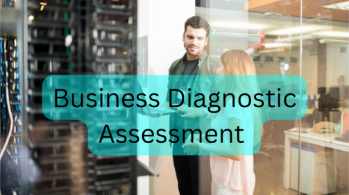 Business Diagnostic Assessment